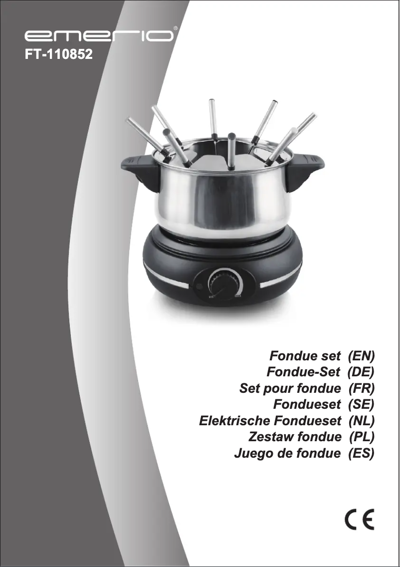 Image de la première page du manuel de l'appareil FT-110852