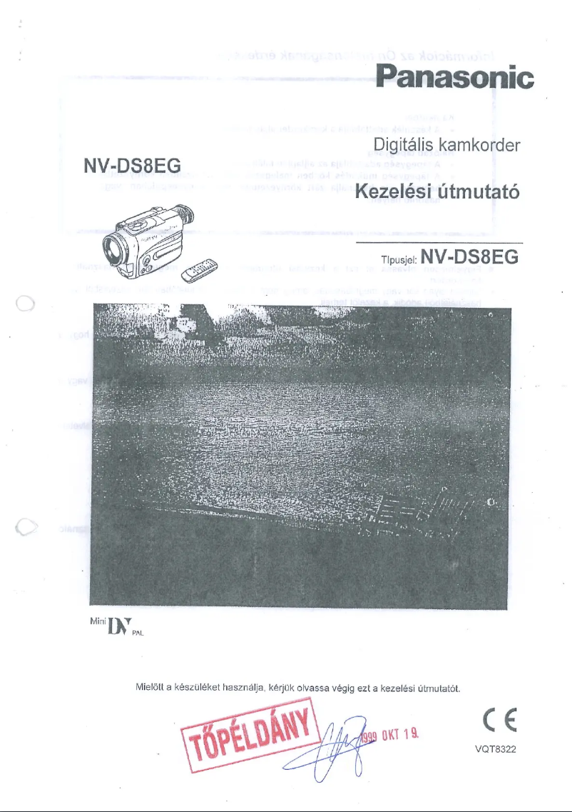 Página 1 del manual Manual de usuario Panasonic NV-DS8EG