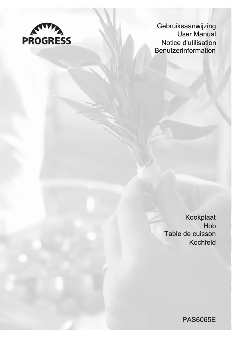 Image de la première page du manuel de l'appareil PAS6065E