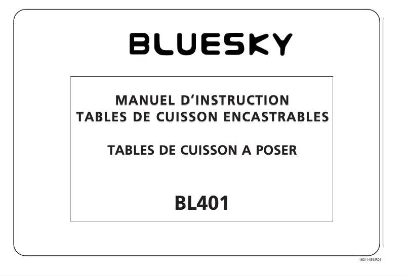 Page 1 de la notice Manuel utilisateur Bluesky BL 401