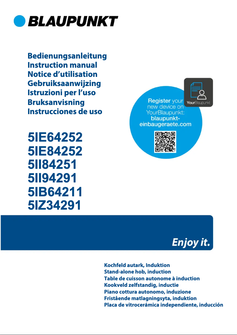 Página 1 del manual Guía de instalación Blaupunkt 5II84251