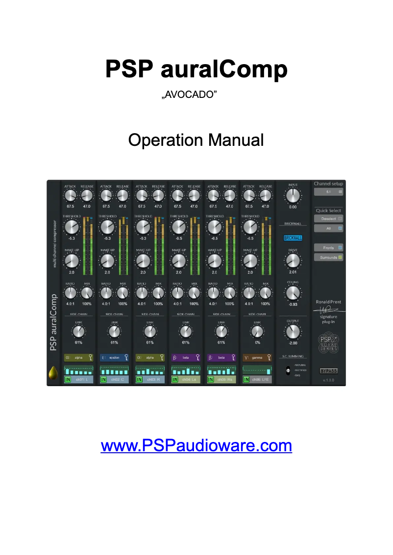 Image de la première page du manuel de l'appareil auralControl