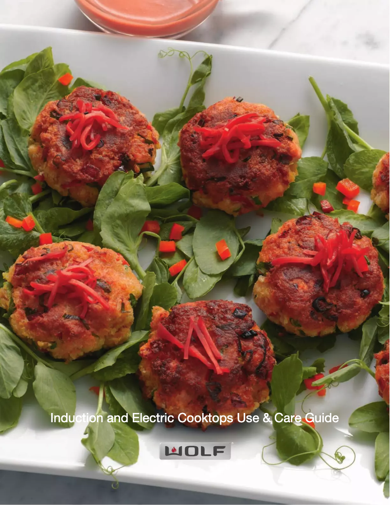 Page 1 de la notice Manuel utilisateur Wolf CE365TS