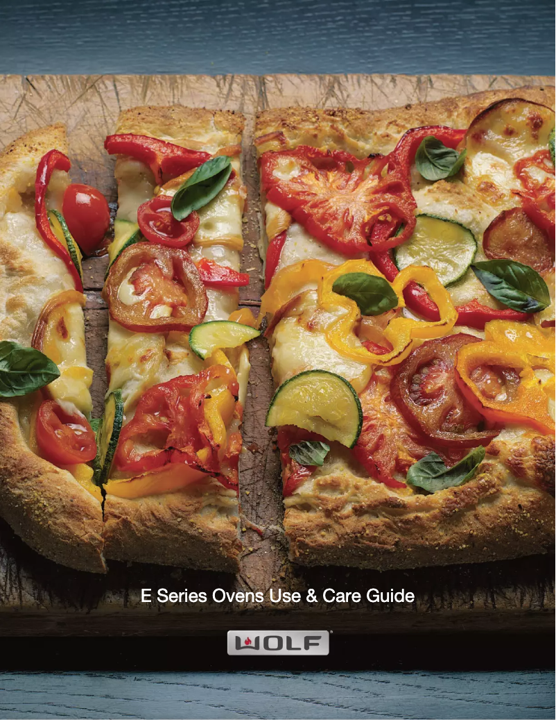 Image de la première page du manuel de l'appareil E Series SO30PESPH