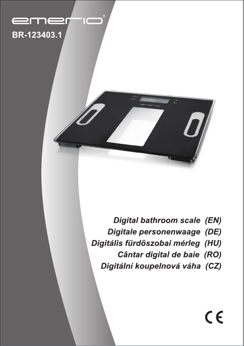 Page 1 de la notice Manuel utilisateur Emerio BR-123403