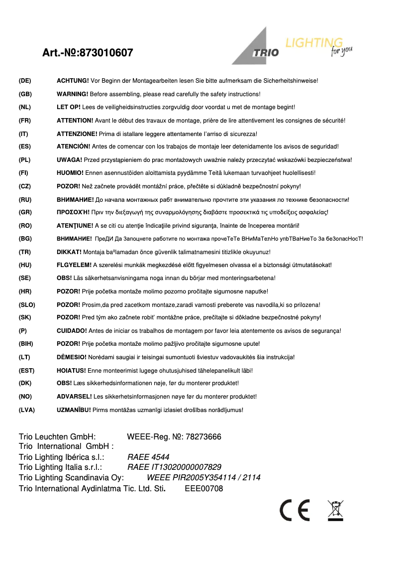 Page 1 de la notice Manuel utilisateur Trio Lighting Pizarro 873010607