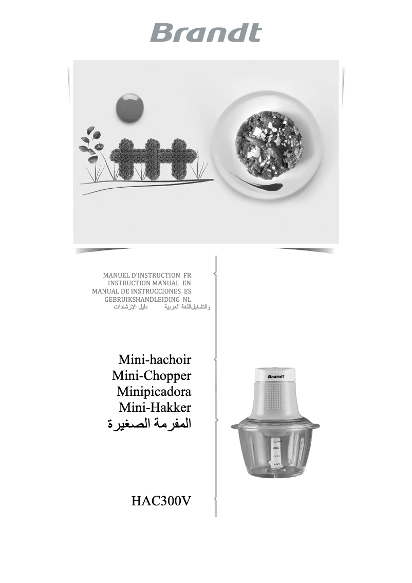 Page 1 de la notice Manuel utilisateur Brandt HAC300V