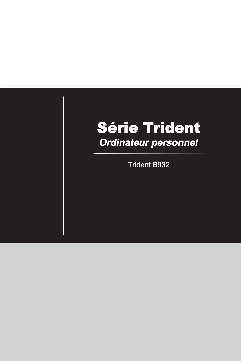 Page n°1 - Manuel utilisateur MSI MPG Trident 3 10th