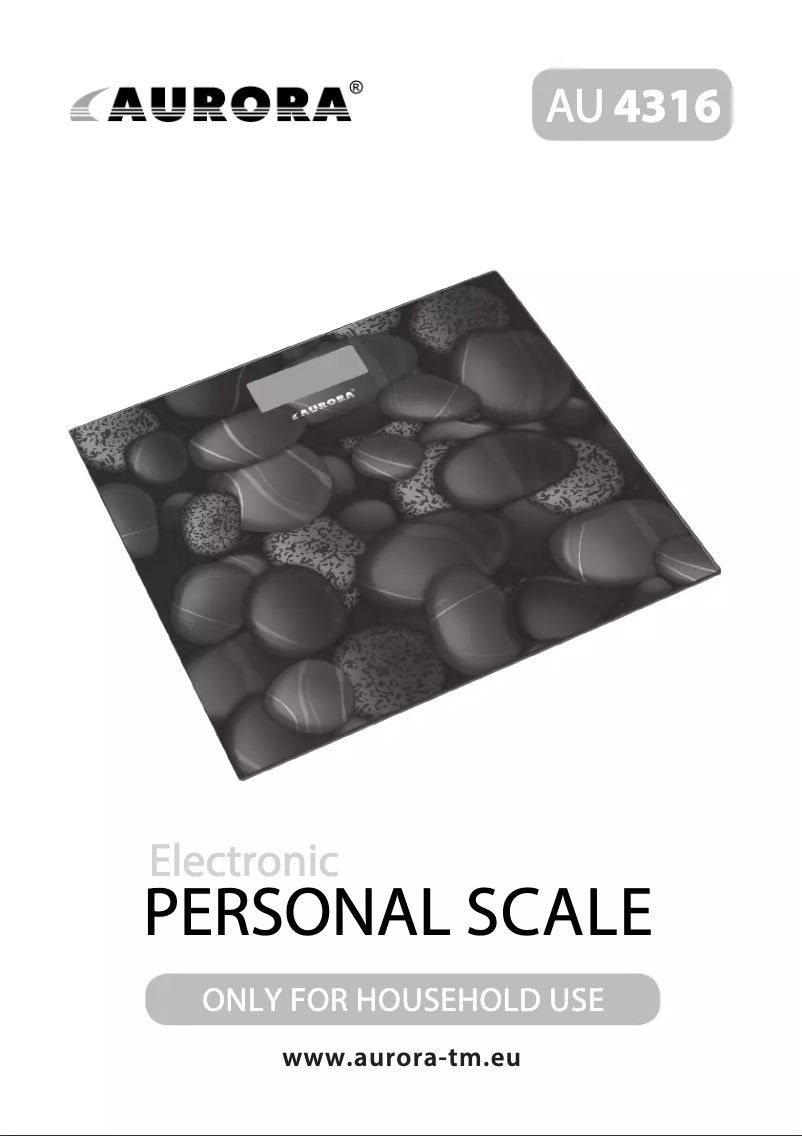 Image de la première page du manuel de l'appareil AU4316