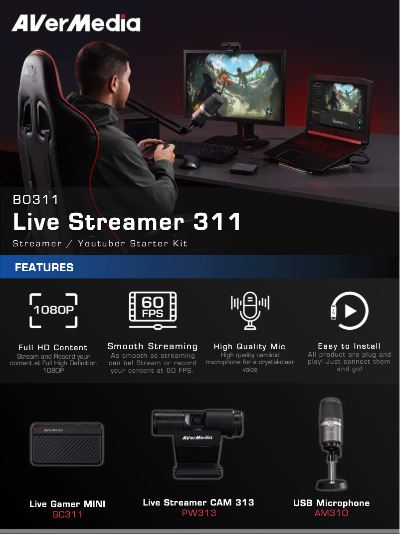 Page 1 de la notice Fiche technique AVerMedia Live Streamer ARM BA311