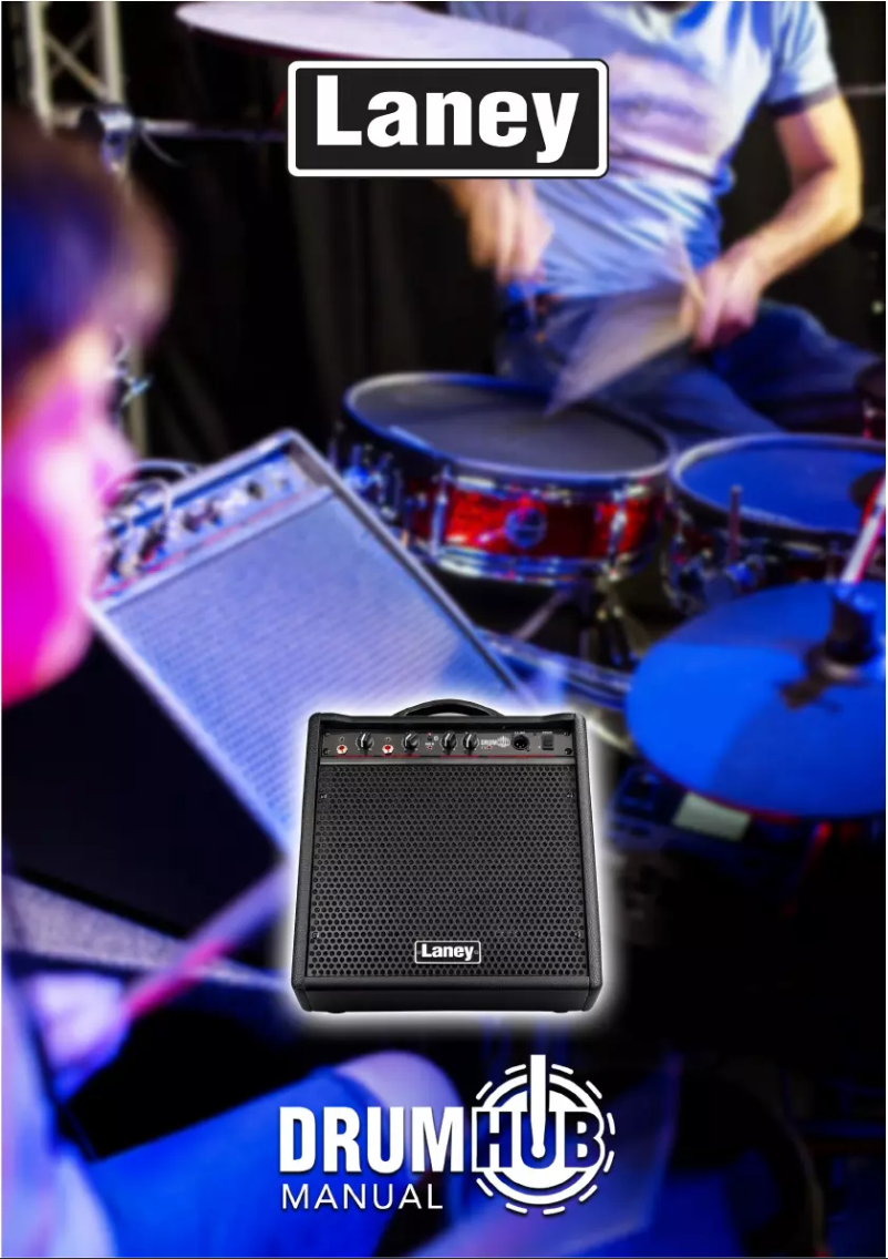 Page 1 de la notice Manuel utilisateur Laney DH80
