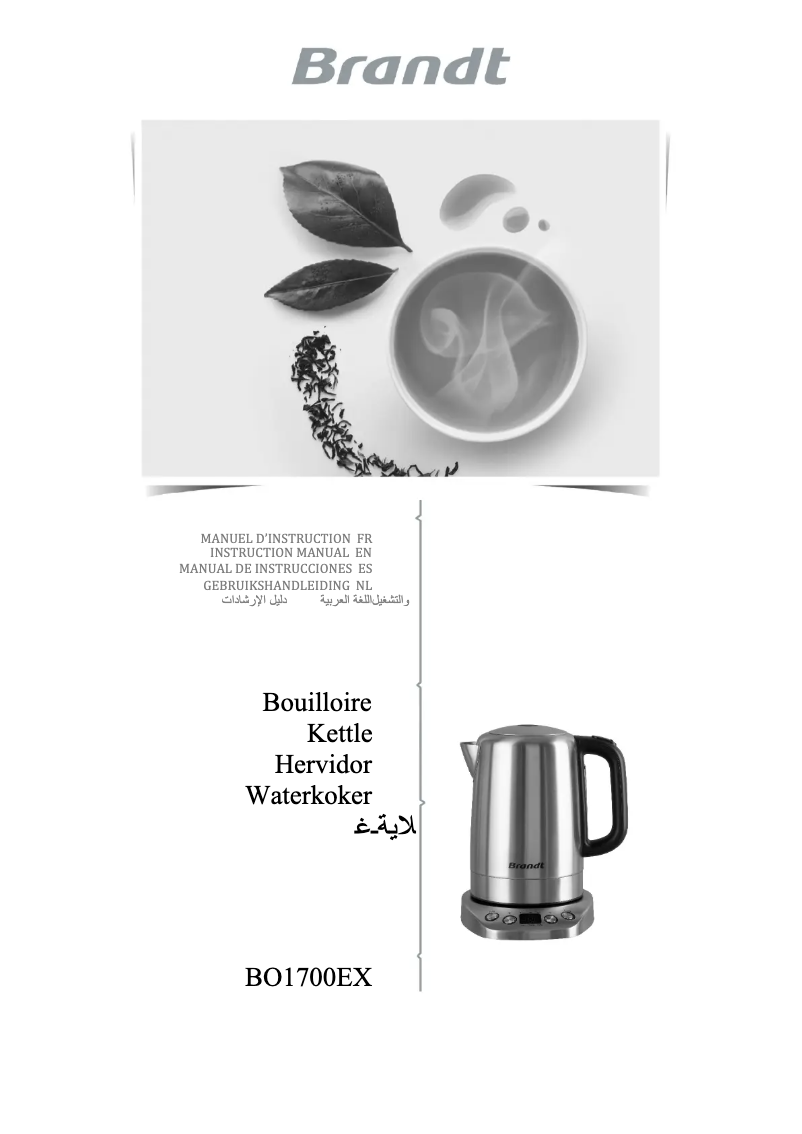 Imagen de la primera página del manual del dispositivo BO1700EX