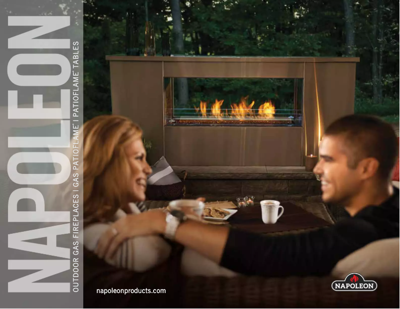 Page n°1 - Brochure Napoleon HAMP1-GY