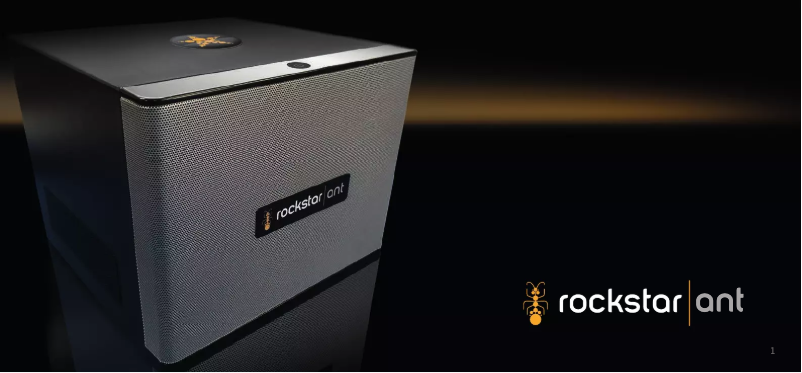 Page n°1 - Manuel utilisateur Origin Storage Rockstar Ant