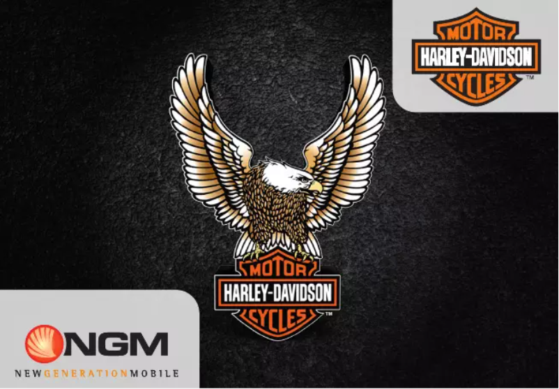 Page 1 de la notice Manuel utilisateur NGM Harley-Davidson
