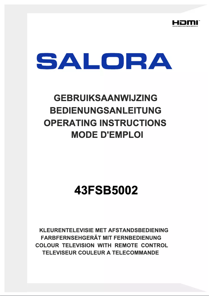 Image de la première page du manuel de l'appareil 43FSB5002