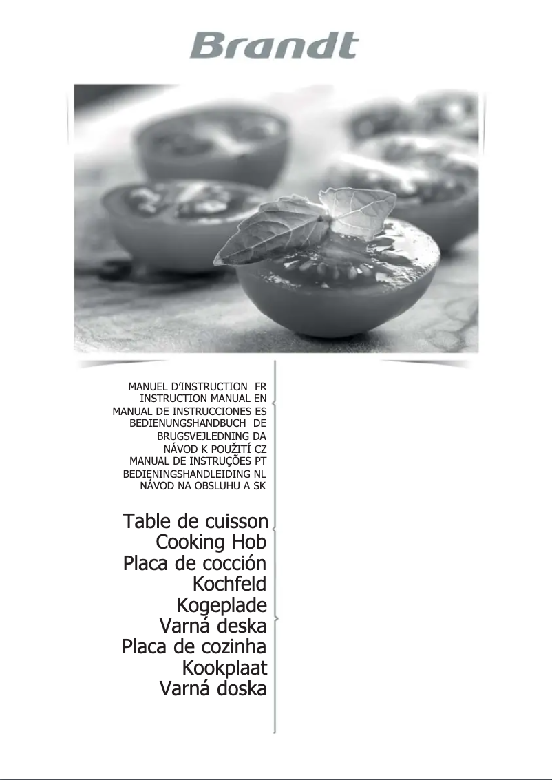 Image de la première page du manuel de l'appareil BPI6230BL