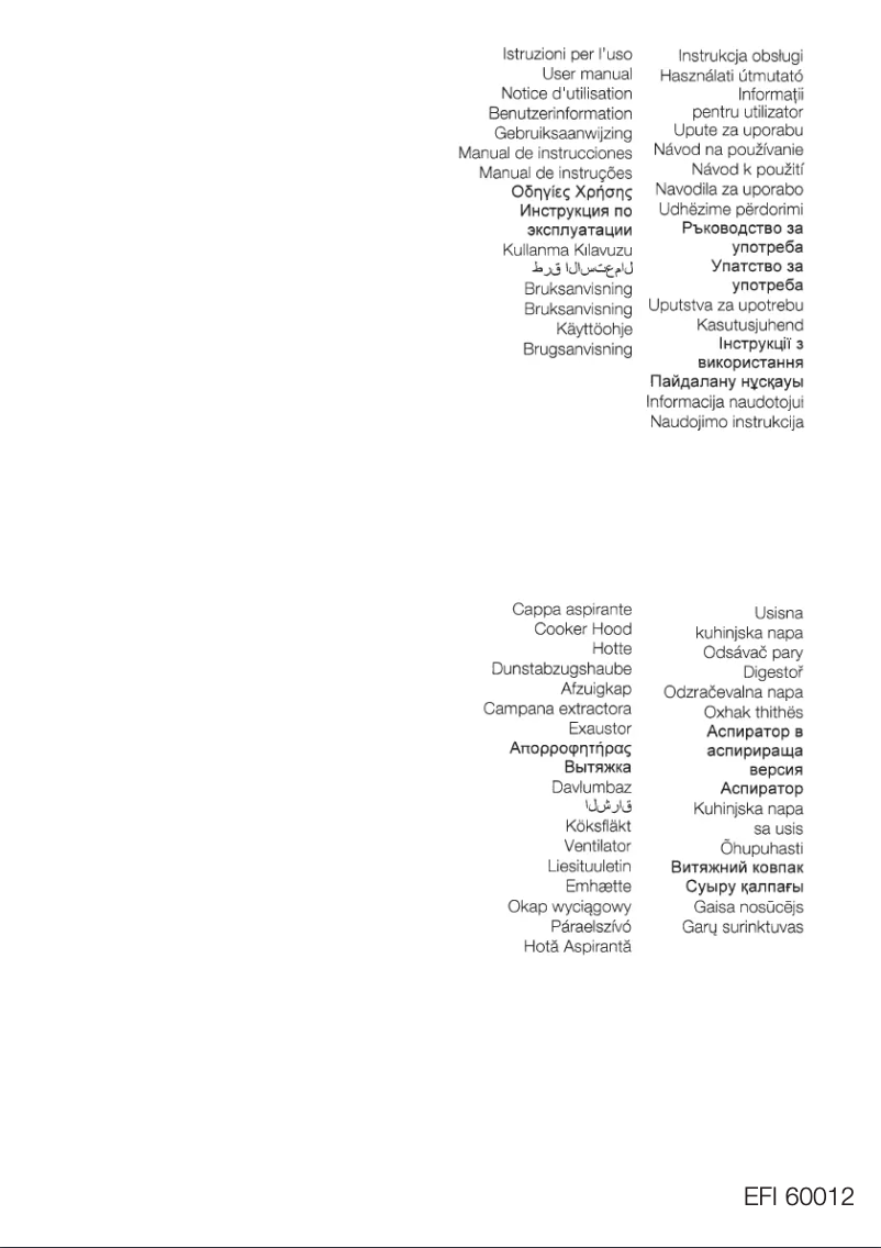 Image de la première page du manuel de l'appareil EFI60012S