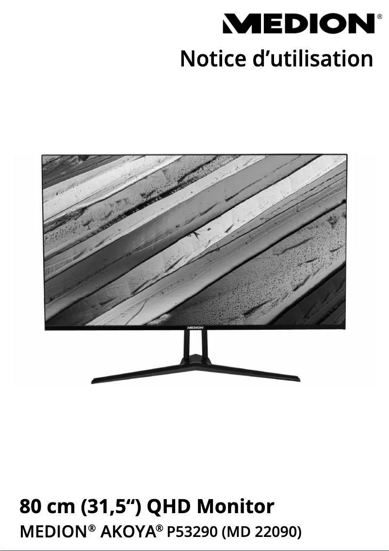 Page 1 de la notice Manuel utilisateur Medion AKOYA P53290 (MD 22090)