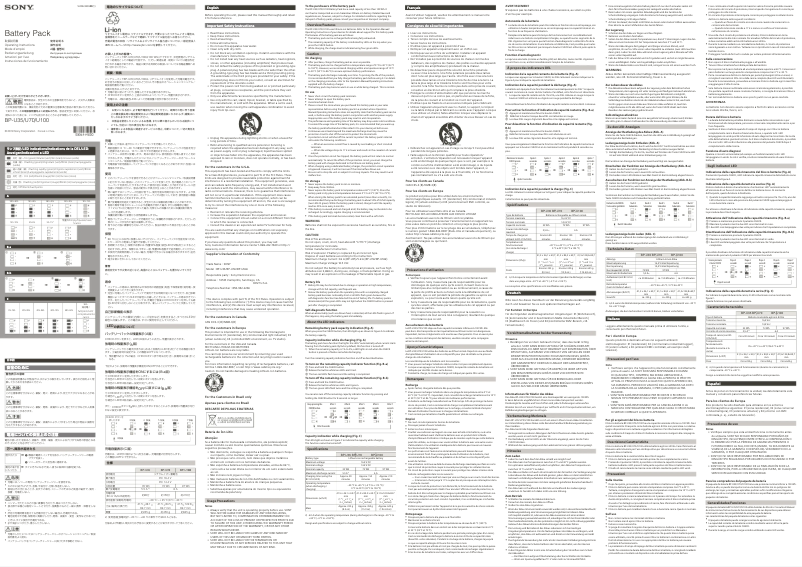 Página 1 del manual Manual de usuario Sony BP-U100