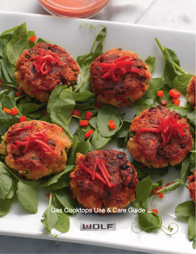 Image de la première page du manuel de l'appareil CG304P