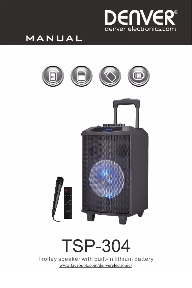 Page 1 de la notice Manuel utilisateur Denver TSP-304