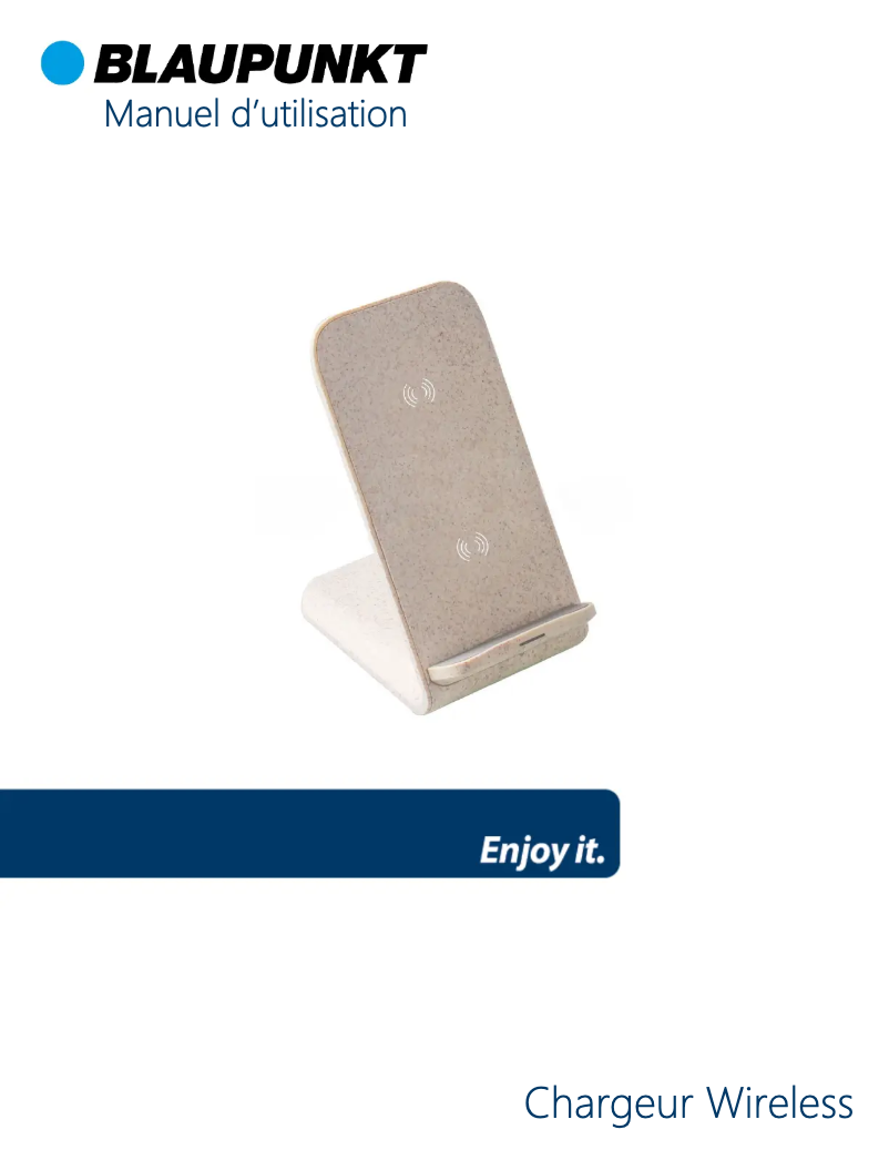 Image de la première page du manuel de l'appareil BLP0233