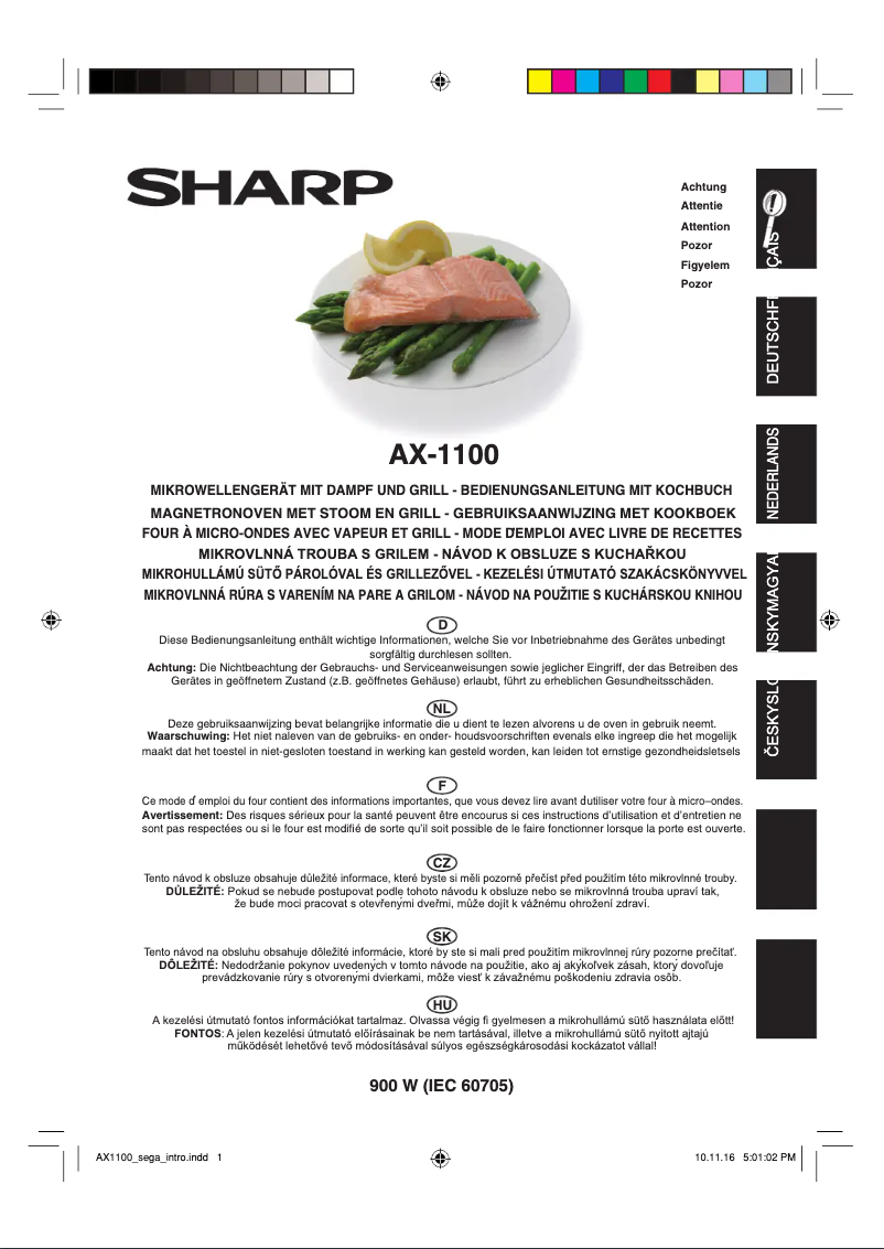 Image de la première page du manuel de l'appareil AX-1100IN