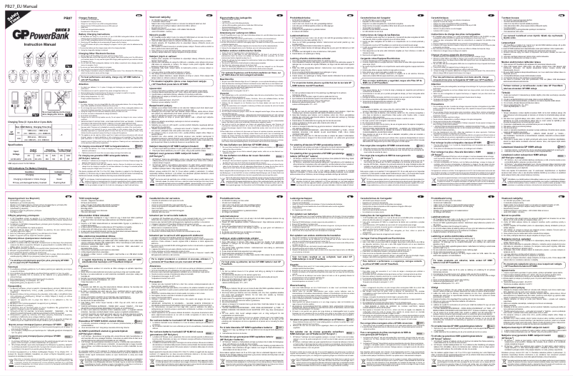 Image de la première page du manuel de l'appareil PowerBank 202160