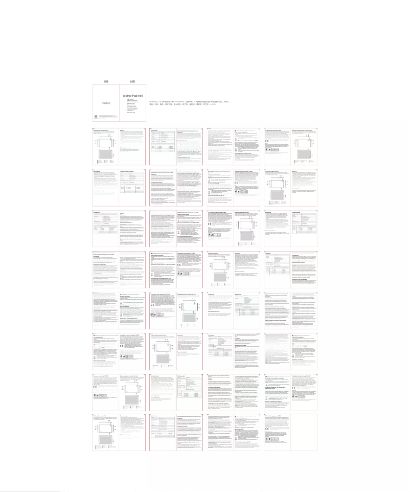 Image de la première page du manuel de l'appareil RMP2106