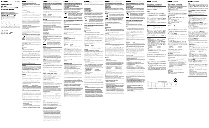 Page 1 de la notice Manuel utilisateur Sony USM16GQX