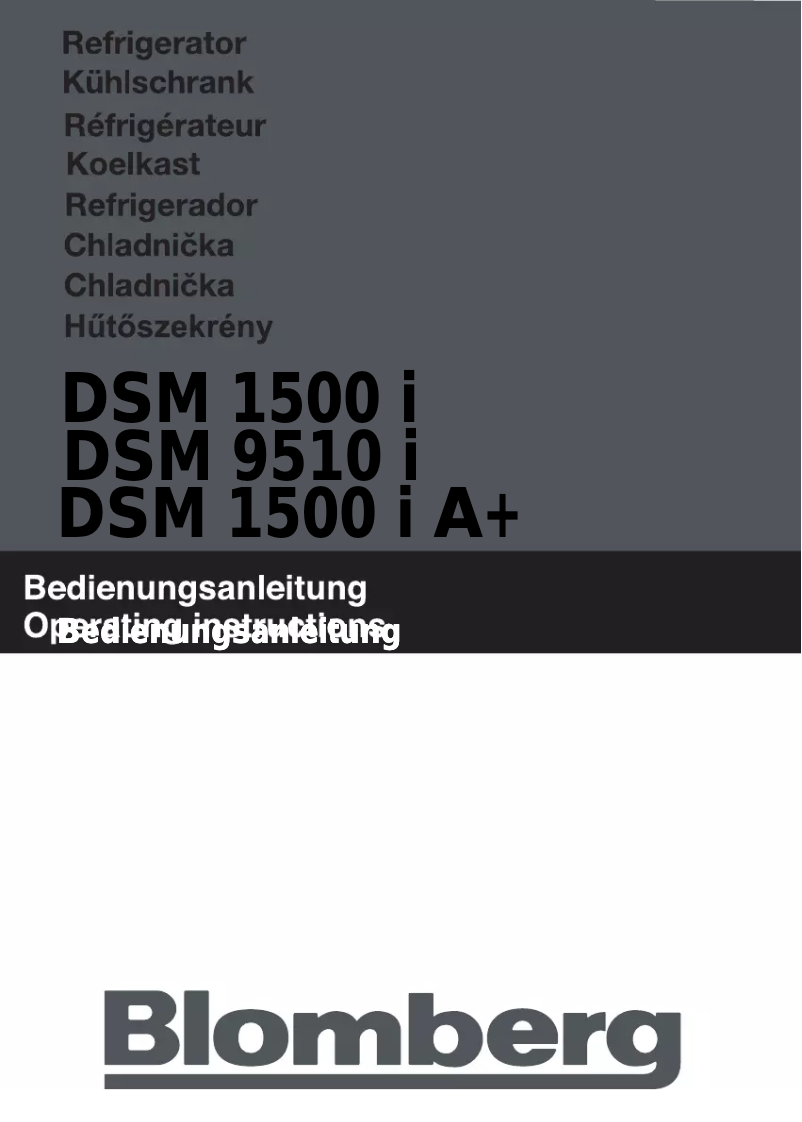 Page 1 de la notice Manuel utilisateur Blomberg DSM 9510 I