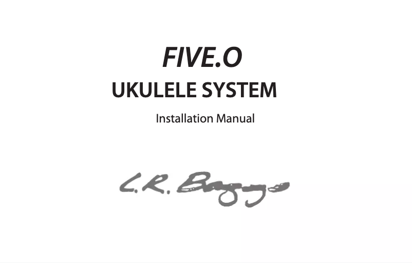 Page 1 de la notice Manuel utilisateur L.R.Baggs FIVE.O