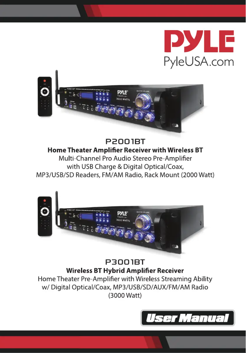 Image de la première page du manuel de l'appareil P2001BT