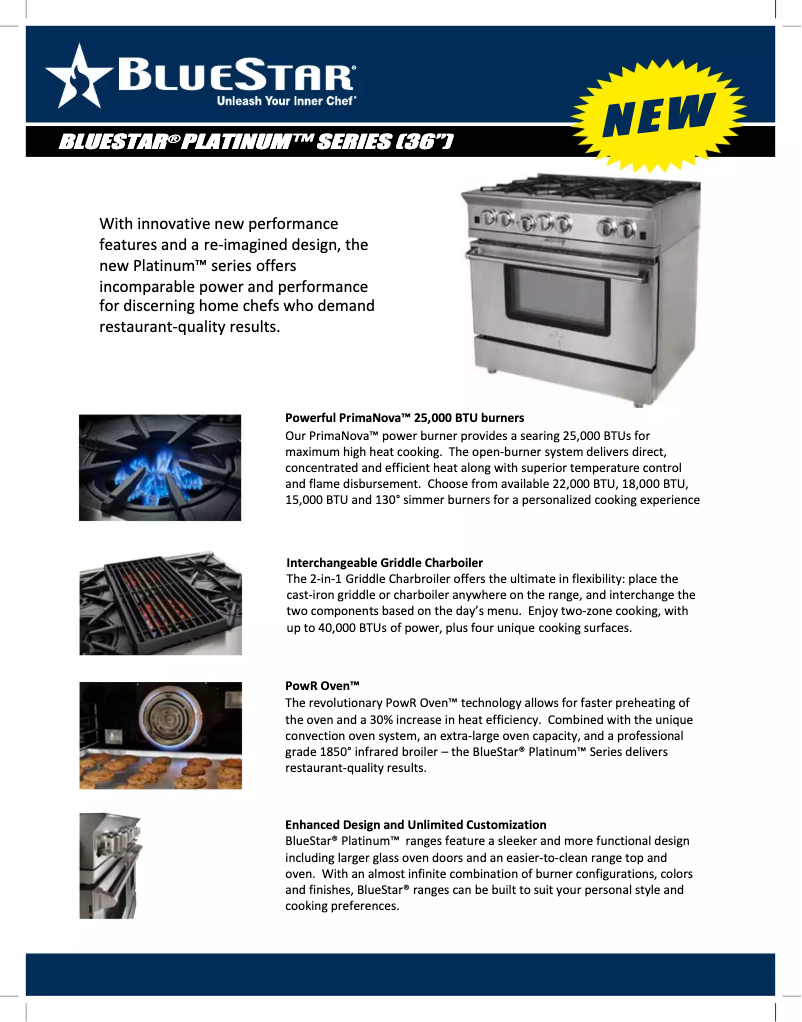 Página 1 del manual Ficha técnica BlueStar BSP366B