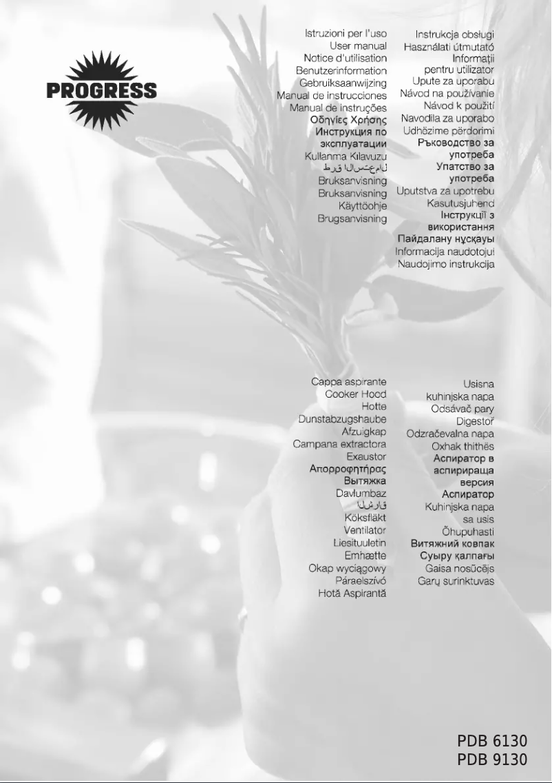 Image de la première page du manuel de l'appareil PDB6130E