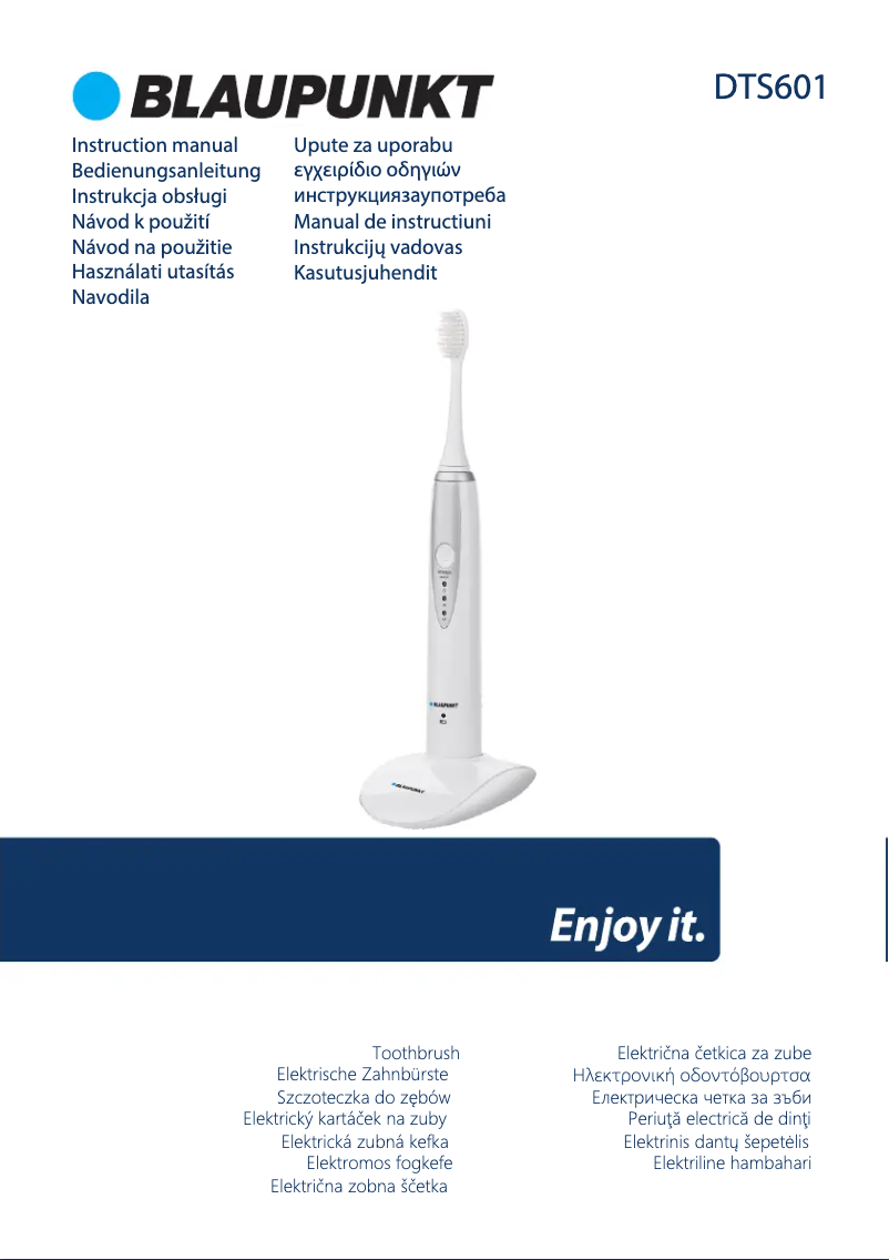 Page n°1 - Manuel utilisateur Blaupunkt DTS601