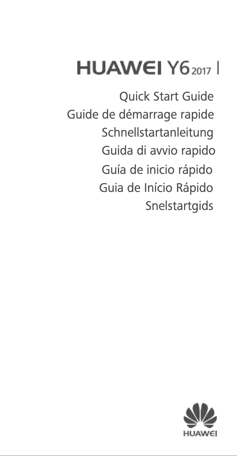 Imagen de la primera página del manual del dispositivo Y6 (2017)