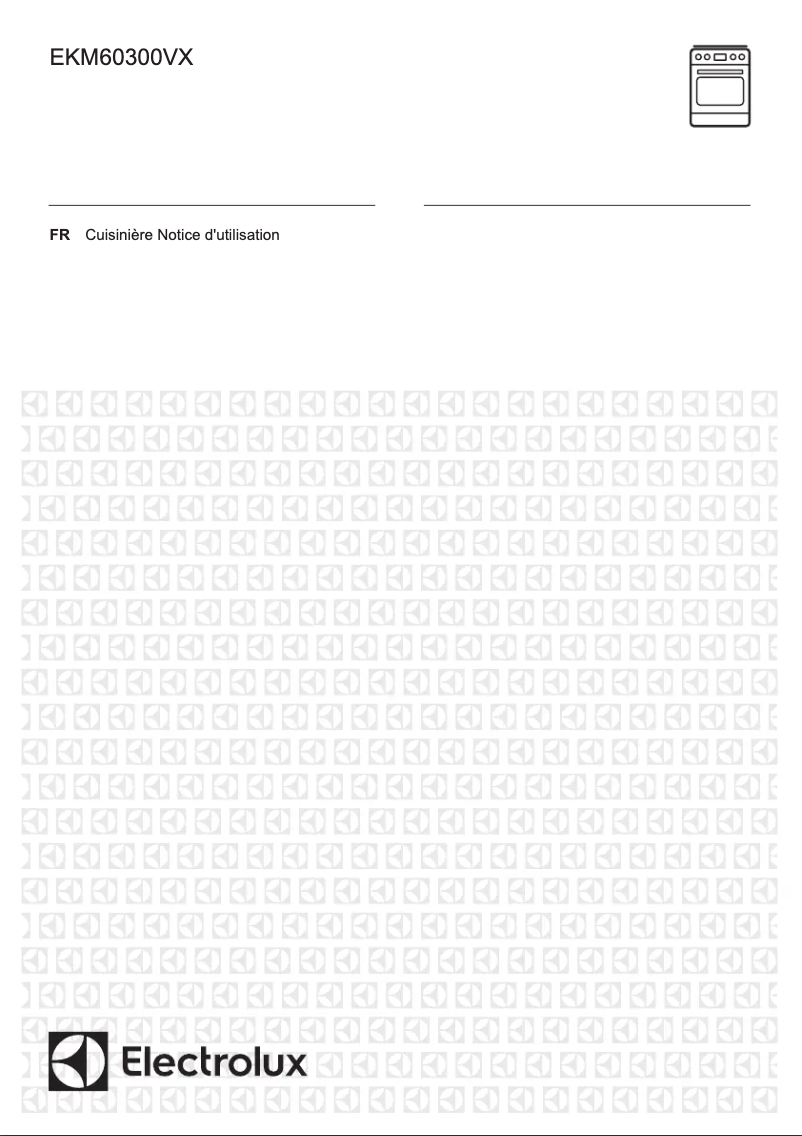 Page 1 de la notice Manuel utilisateur Electrolux EKM60300VX