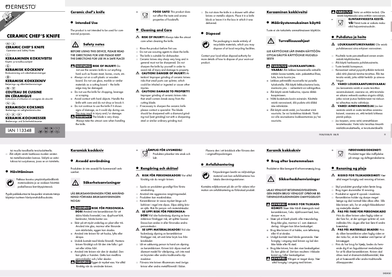 Page n°1 - Manuel utilisateur Ernesto IAN 113348