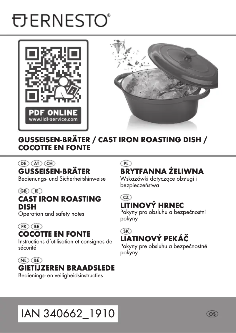 Page n°1 - Manuel utilisateur Ernesto HG00749