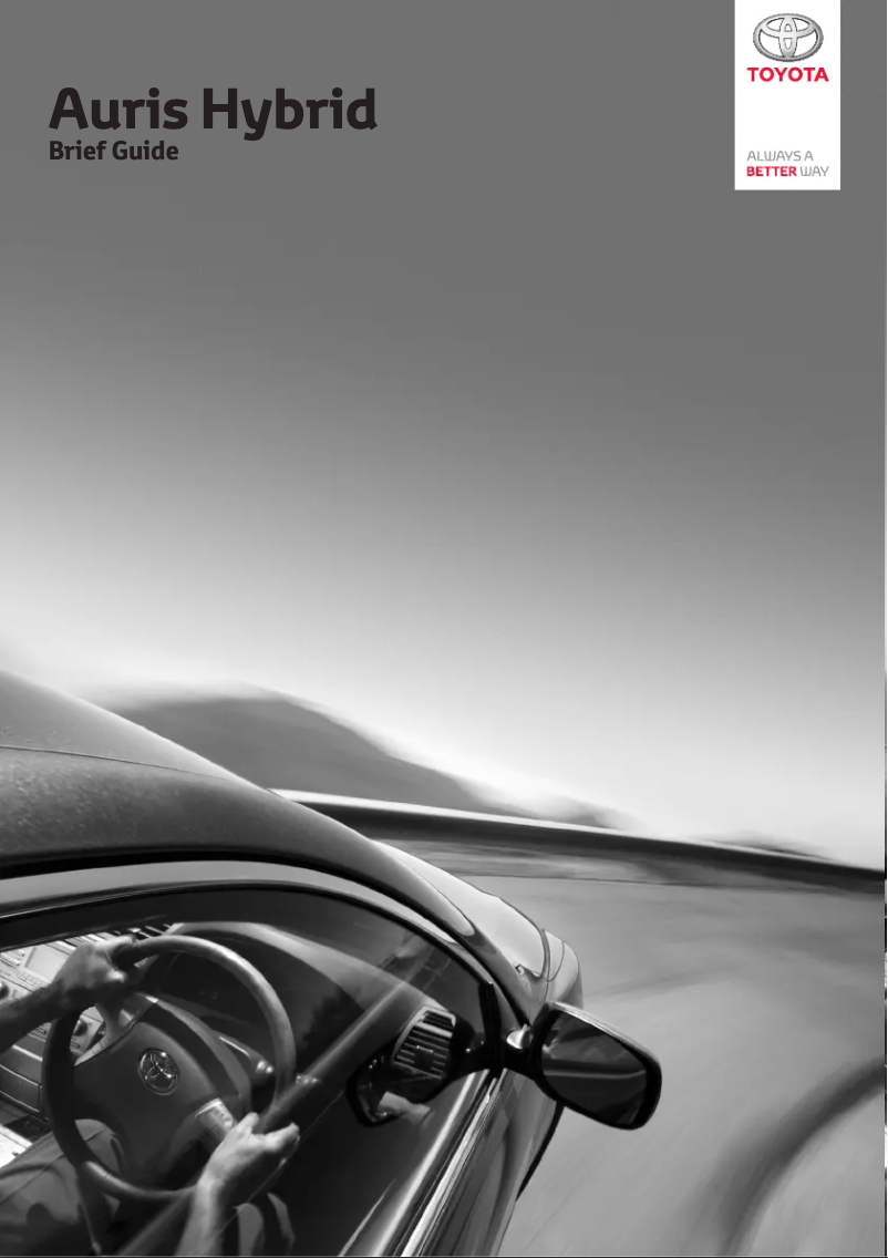 Image de la première page du manuel de l'appareil Auris Hybrid