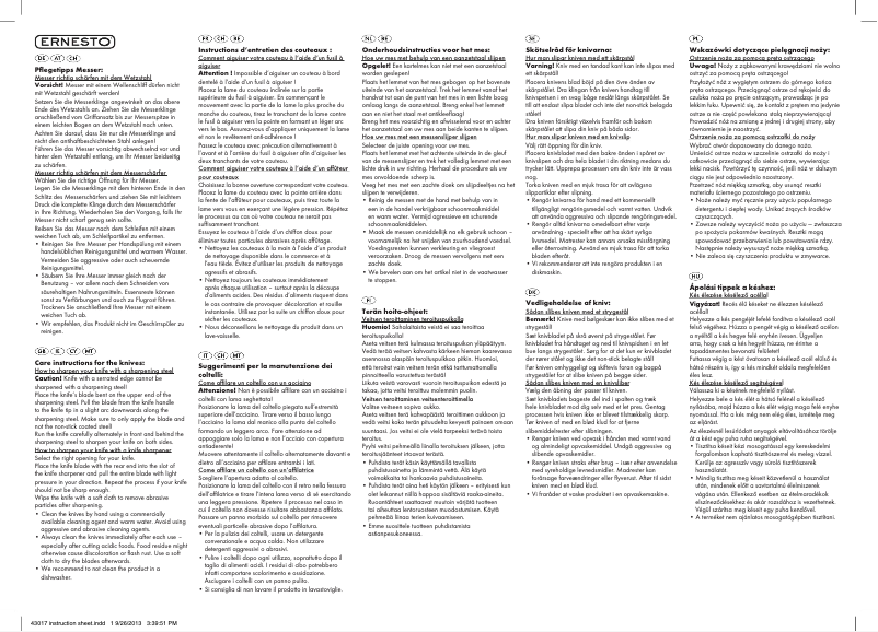 Page n°1 - Manuel utilisateur Ernesto Z31830A