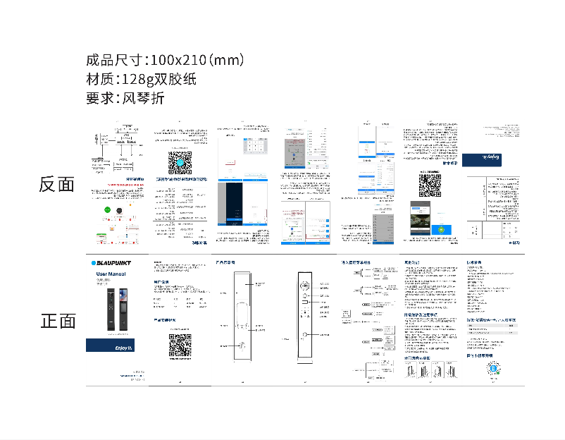 Image de la première page du manuel de l'appareil BP-MS04-2