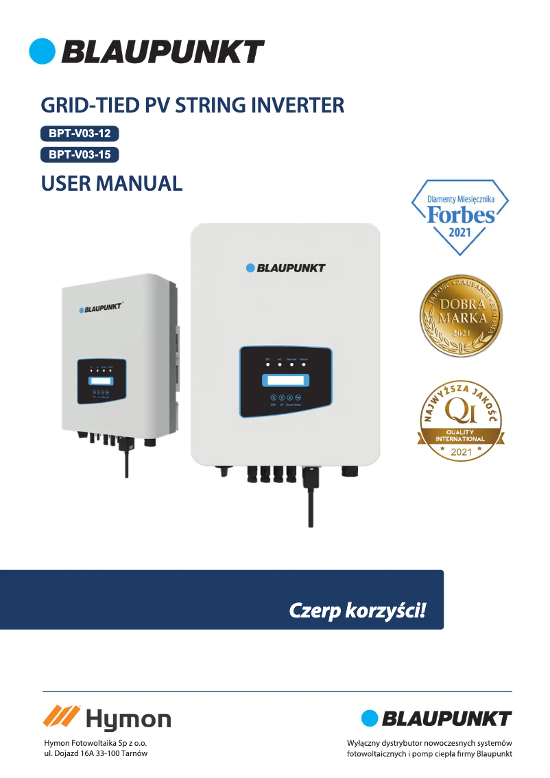 Page 1 de la notice Manuel utilisateur Blaupunkt BPT-V04-33