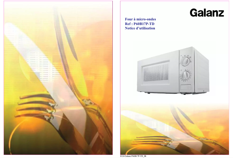 Image de la première page du manuel de l'appareil P60B17P-TD