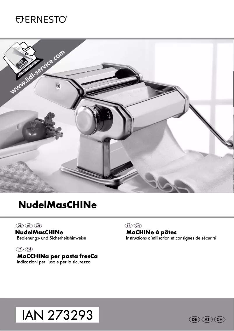 Page 1 de la notice Manuel utilisateur Ernesto IAN 273293