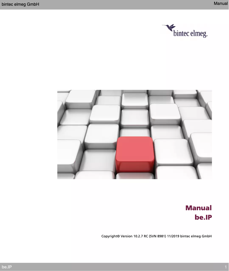 Page n°1 - Manuel utilisateur Bintec-elmeg be.IP