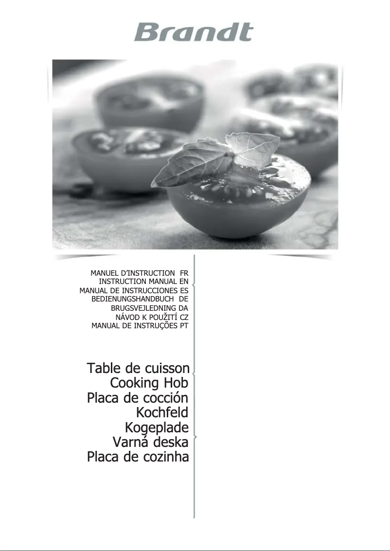 Image de la première page du manuel de l'appareil BPI6420X