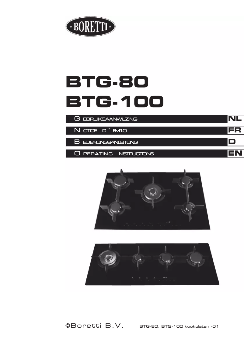 Image de la première page du manuel de l'appareil BTG100